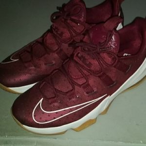 LeBron James 13 low